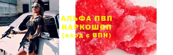 стафф Аркадак