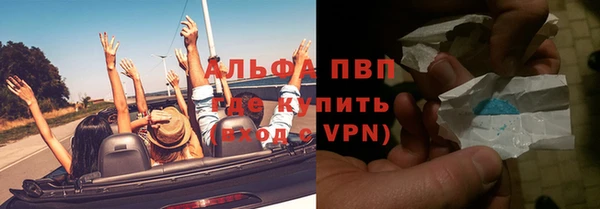 твердый Арсеньев