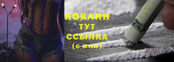 стафф Аркадак
