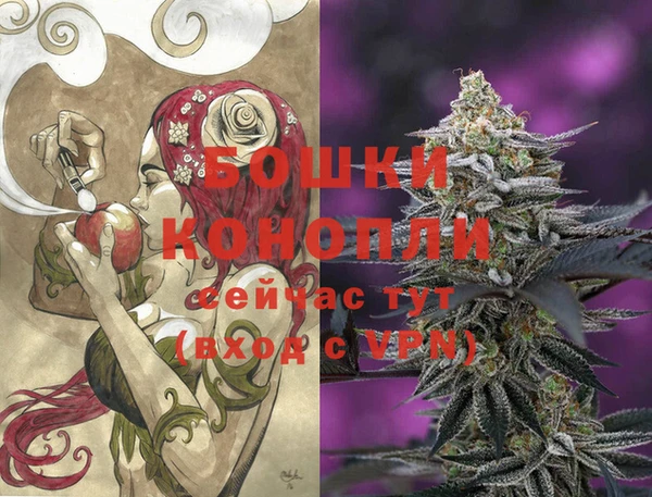 стафф Аркадак