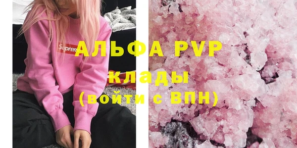 твердый Арсеньев