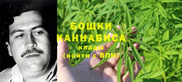 стафф Аркадак