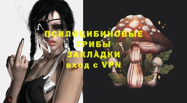 твердый Арсеньев