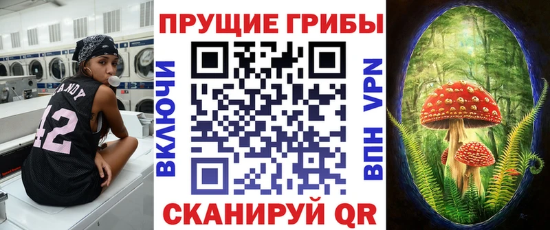 mega ссылка  Беломорск  Псилоцибиновые грибы мицелий  сколько стоит 